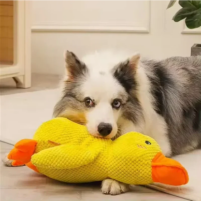 Plush Duck Dog Toy