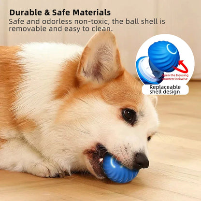 Rechargeable Rolling Toy Ball