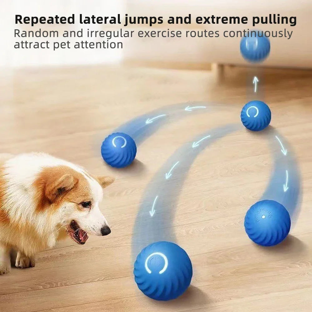 Rechargeable Rolling Toy Ball