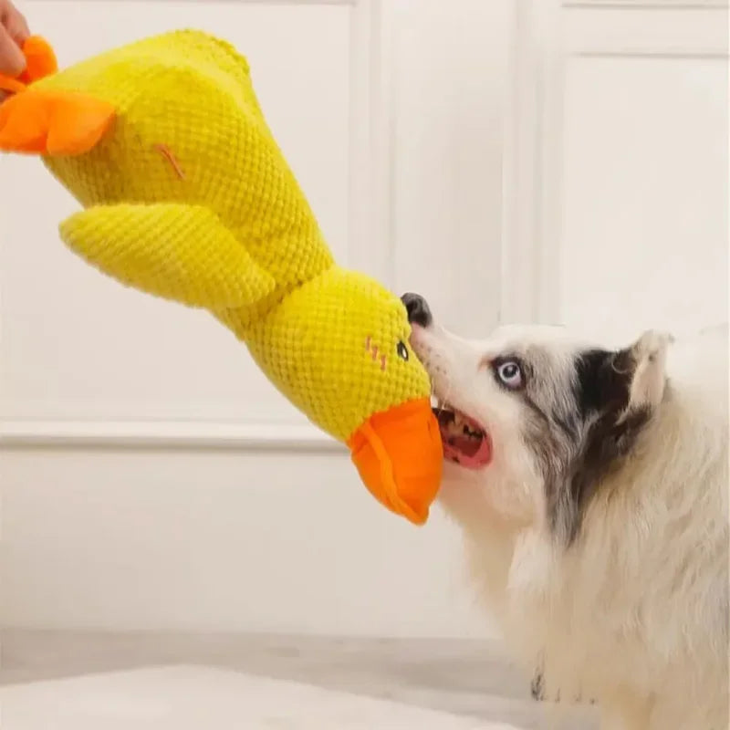 Plush Duck Dog Toy